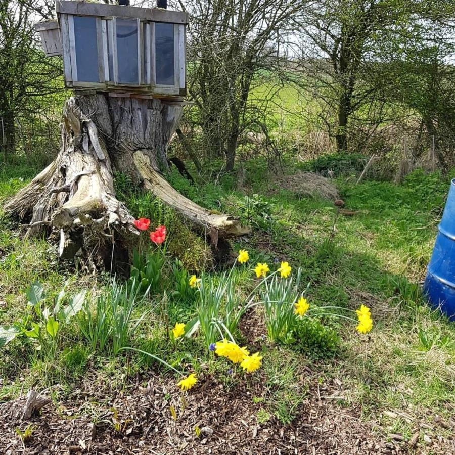 Romantic Escape Luxury Hobbit House With Hot Tub! 쉬어니스 외부 사진